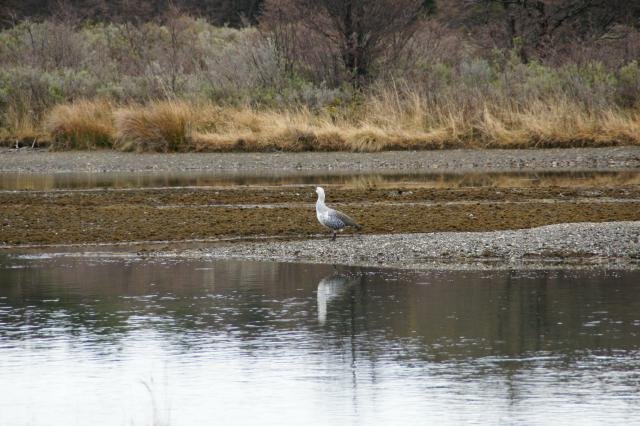 Urlaub in Südamerika 2011